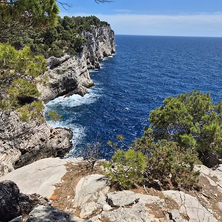 Alojamento de Acomodação e Pequeno-almoço Viktoria 4*